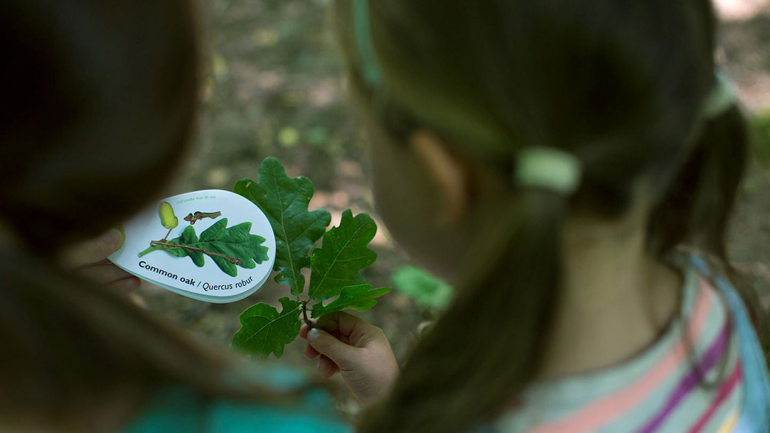 Two girls identifying leaves with a leaf swatch book